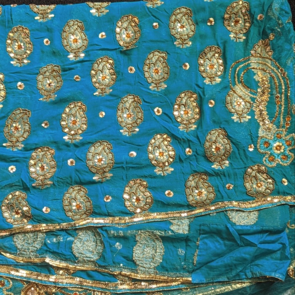 Indian heavy work saree